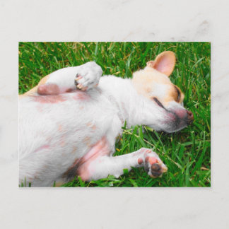 Friedliche Postkarte