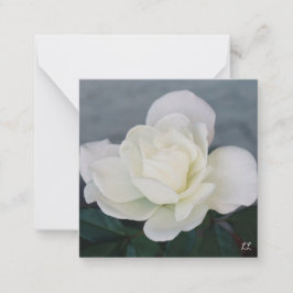 Friedliche Rose Mitteilungskarte