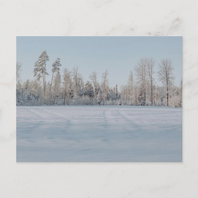 Friedliche schneebedeckte Waldlandschaft Postkarte (Vorderseite)