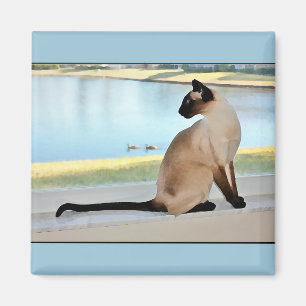 Friedliche siamesische Katzen-Malerei Magnet