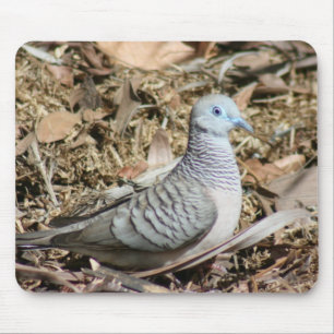 Friedliche Taube - Geopelia Placida Mousepad