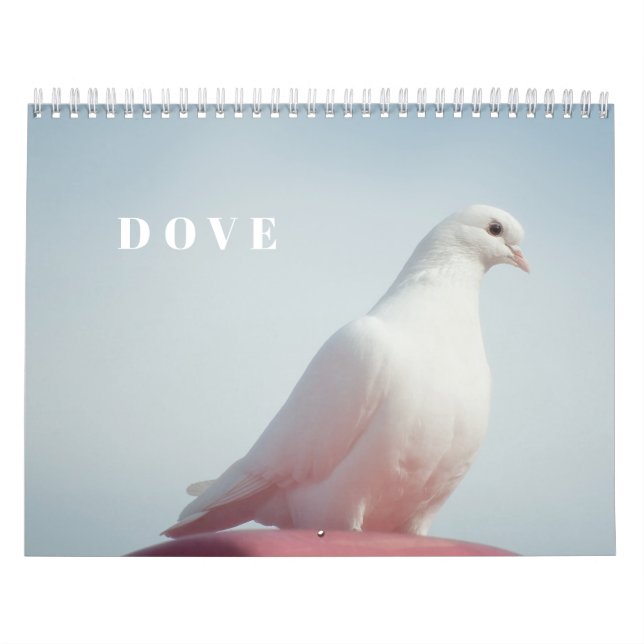 Friedliche Tauben und elegante Tauben Natur Inspir Kalender (Titelbild)