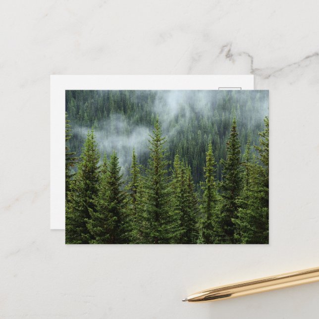 Friedliche Waldwiese Postkarte (Vorderseite/Rückseite Beispiel)