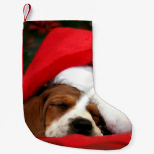 Friedliche Welpe Kleiner Weihnachtsstrumpf