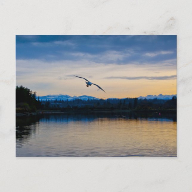 Friedlicher Abend Postkarte (Vorderseite)