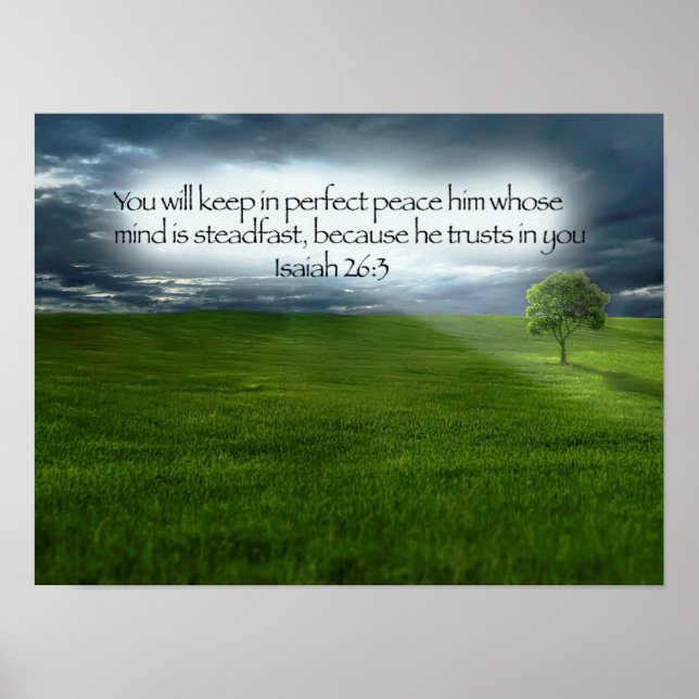 Friedlicher Baumfeld Blaue Himmel Bibelvers Poster (Vorne)