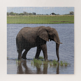 friedlicher Elefant