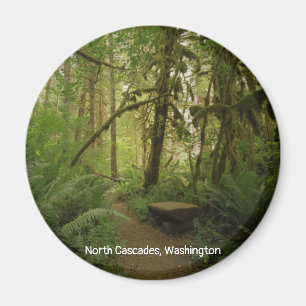 Friedlicher grüner Waldweg in Washington Magnet