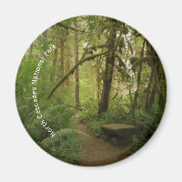 Friedlicher grüner Waldweg in Washington