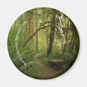 Friedlicher grüner Waldweg in Washington Magnet
