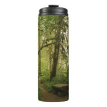 Friedlicher grüner Waldweg in Washington