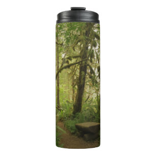 Friedlicher grüner Waldweg in Washington Thermosbecher