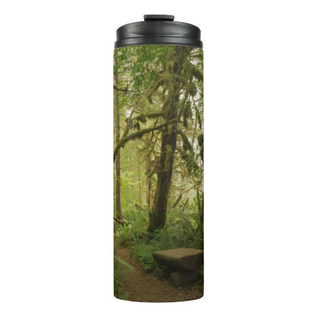 Friedlicher grüner Waldweg in Washington Thermosbecher (Vorderseite)