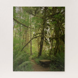 Friedlicher Grünwaldweg Washington