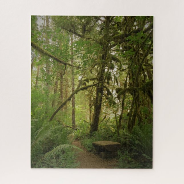 Friedlicher Grünwaldweg Washington (Vertikal)