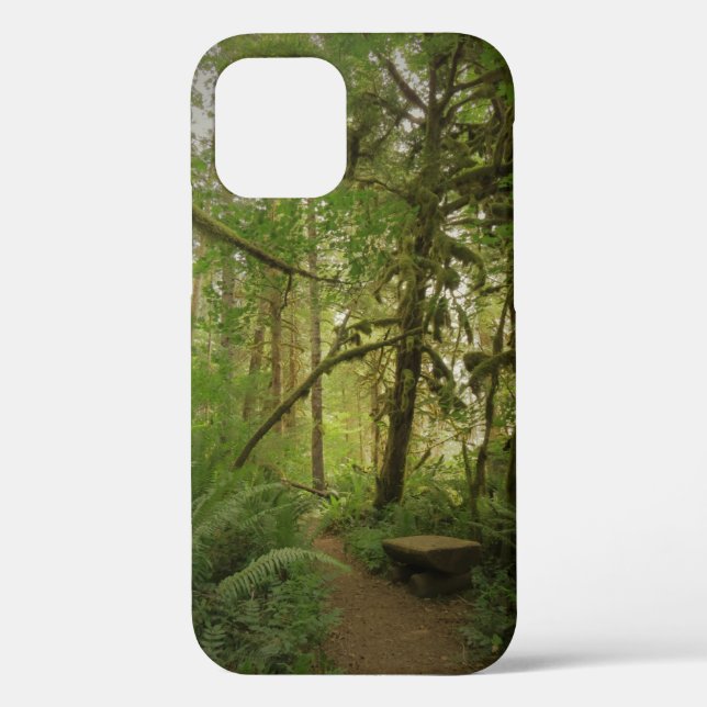Friedlicher Grünwaldweg Washington Case-Mate iPhone Hülle (Rückseite)