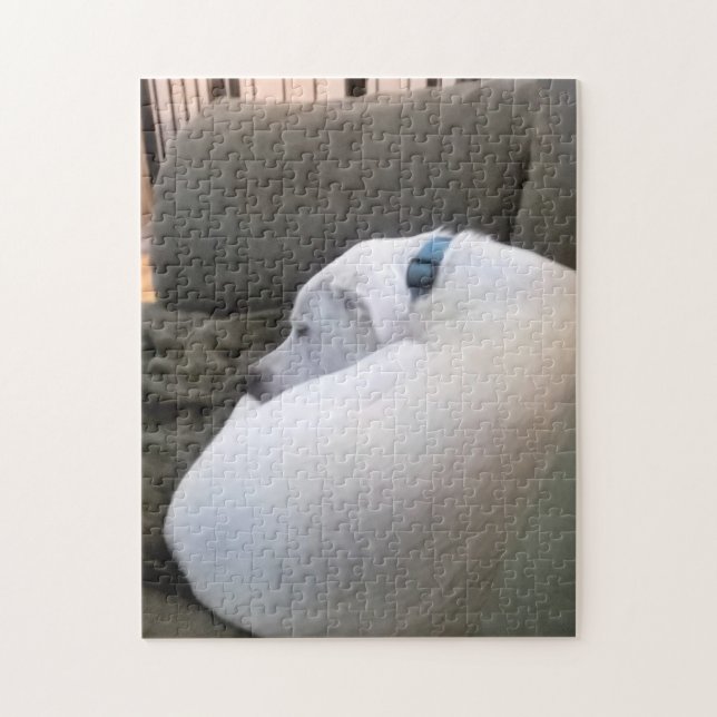 Friedlicher Hundewelpen Schlafen auf Couch (Vertikal)