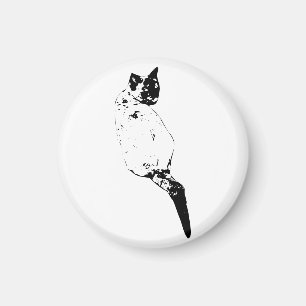 Friedlicher Kater auf dem Kühlschrank Magnet