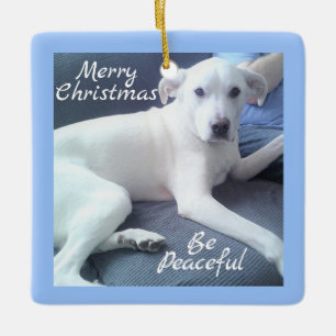 Friedlicher Niedlicher weißer Hund mit Vater blau Keramikornament