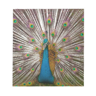 Friedlicher Pfau Notizblock