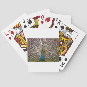 Friedlicher Pfau Spielkarten