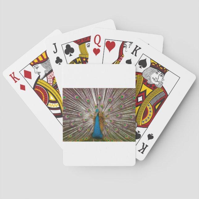 Friedlicher Pfau Spielkarten (Rückseite)