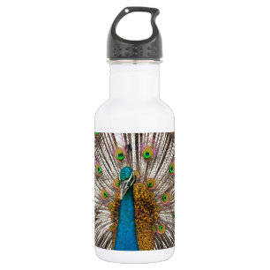 Friedlicher Pfau Trinkflasche