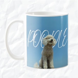 Friedlicher Pudel   Blick nach oben in den blauen  Kaffeetasse