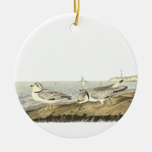 Friedlicher Regenpfeifer, John Audubon Keramik Ornament (Vorne)