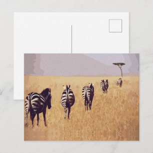 Friedlicher Safari – Zebras in den goldenen Grasla Postkarte
