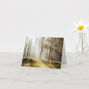 Friedlicher sonnenbeschienener Waldkreuz-Gedenk-Sy Karte