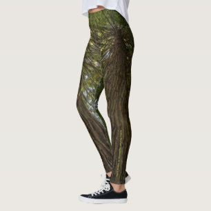 Friedlicher Wald mit goldenem Licht Foto Legging Leggings