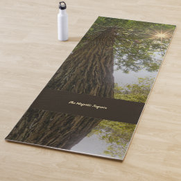 Friedlicher Wald Mit Goldenem Licht Foto Yoga-Matt Yogamatte