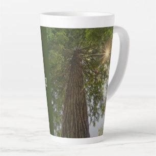 Friedlicher Wald mit goldenem Licht Naturfoto Milchtasse