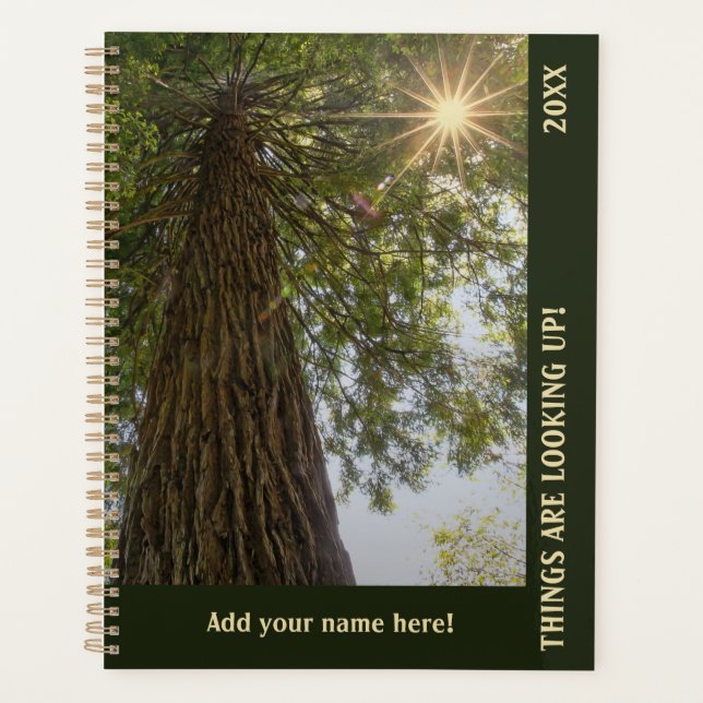 Friedlicher Wald mit goldenem Licht Planer (Vorderseite)