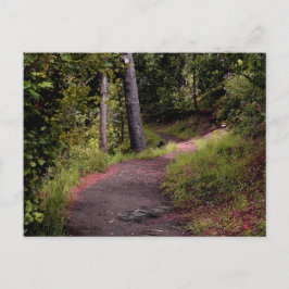Friedlicher Waldweg auf dem Lemminer Lemberg Postkarte