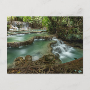 Friedlicher Wasserfall im Wald Pools Postkarte