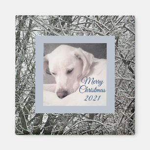Friedlicher Welpe Hund Schneezeit Weihnachtsmagne Magnet