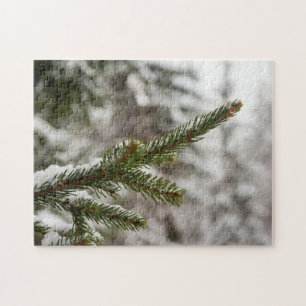 Friedlicher Winterwald - Schneebedeckter Kiefernzw