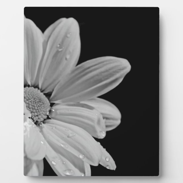 Friedliches Blumen Fotoplatte (Vorderseite)