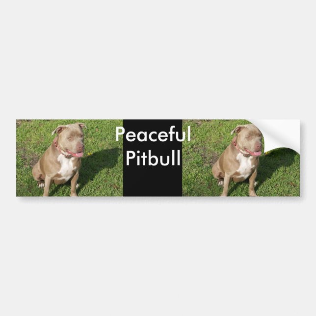 Friedliches Pitbull Autoaufkleber (Vorne)