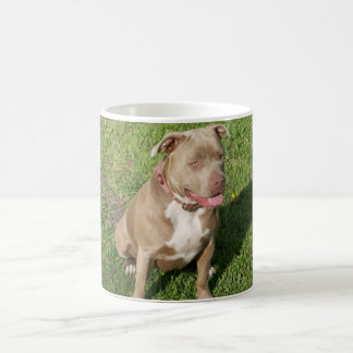 Friedliches Pitbull Kaffeetasse