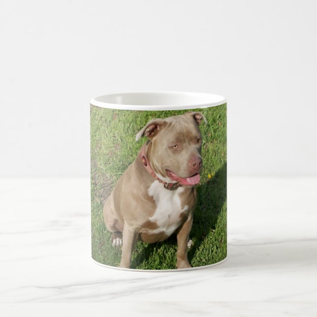 Friedliches Pitbull Kaffeetasse (Mittel)