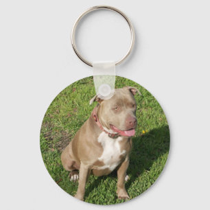Friedliches Pitbull Schlüsselanhänger