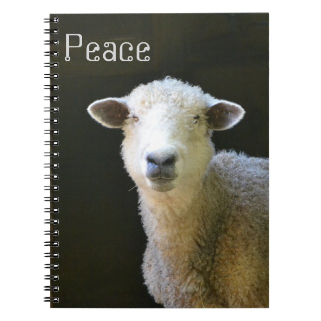 Friedliches Schaf Notizblock (Vorderseite)