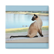 Friedliches siamesisches Katzengemälde