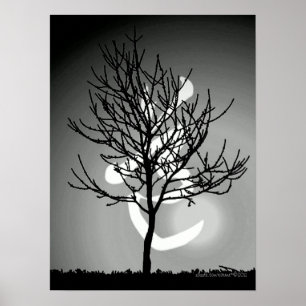 Friedliches Strahlen/Tao 道 Harmonie (TBA) Poster