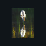 Friedliches Weißes Egret mit Reflektion Leinwanddruck<br><div class="desc">Ein schönes Foto des großen weißen Estes mit seiner Reflektion. Das Bild wurde von Ian Wickison aufgenommen und alle Rechte vorbehalten. Ardea Alba ist der lateinische Name und sie sind ein weit verbreiteter Vogel. Dieses Bild wurde in Brasilien aufgenommen. Der Vogel ist entspannt und scheint seine eigene Schönheit zu bewundern....</div>