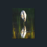 Friedliches Weißes Egret mit Reflektion Leinwanddruck<br><div class="desc">Ein schönes Foto des großen weißen Estes mit seiner Reflektion. Das Bild wurde von Ian Wickison aufgenommen und alle Rechte vorbehalten. Ardea Alba ist der lateinische Name und sie sind ein weit verbreiteter Vogel. Dieses Bild wurde in Brasilien aufgenommen. Der Vogel ist entspannt und scheint seine eigene Schönheit zu bewundern....</div>