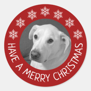 Friedliches Weißes Hunde-Foto Frohe Weihnachten Ro Runder Aufkleber